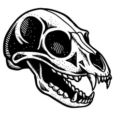 Animal Skull Vector