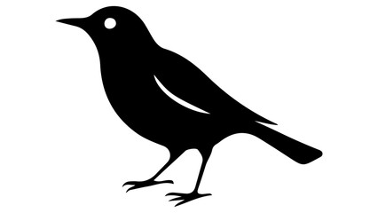 silhouette of a bird vector illustration