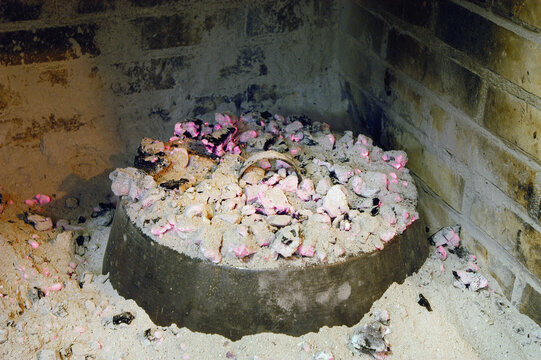 Coniglio cotto al coppo sotto la cenere or Rabbit cooked in a pan Rabbit under the ashes is a typical food of Abruzzo near Fossacesia in Italy