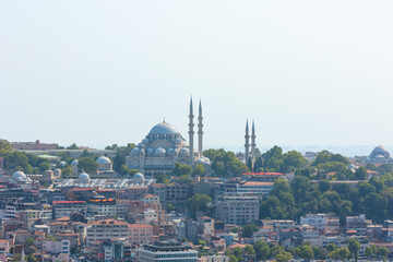 Fototapeta premium Cityscape of Istanbul including Suleymaniye Mosque from Galata Tower at daytime