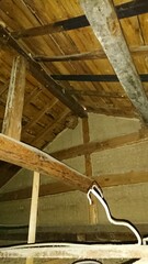 2392)japanese yellow hornet nest in the attic(Photo taken at 14:33 on september 3, 2017)