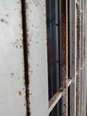 A close-up view of rusted metal window bars showcases the effects of time and weathering. The texture of corrosion contrasts with the smooth glass panes in the background. Vertical view. 