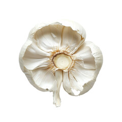 Fresh garlic slice resting on a clean transparent surface showcasing its natural texture and color, garlic slice on transparent background