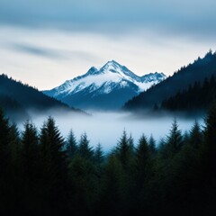 Mountain Peak View Surrounded by Forest and Fog