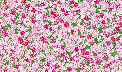 Obraz premium Spring soft flower pattern, soft green, white, pink color floral texture background. Pastel colored floral seamless pattern for background, fabric, textile, wallpaper, wedding, banner, decoration. 