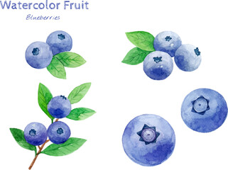Blueberry watercolor hand painting fruit illustration