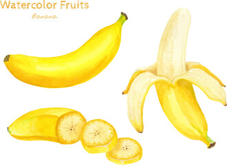 Banana watercolor hand painting fruit illustration