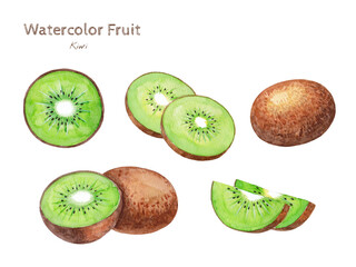 Obraz premium Kiwi watercolor hand painting fruit illustration
