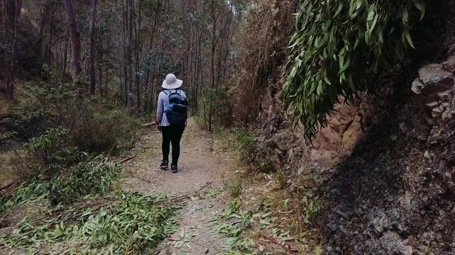 Woman with backpack and a traditional peruvian hat walks along a forested trail in the Cusco highlands, Peru.