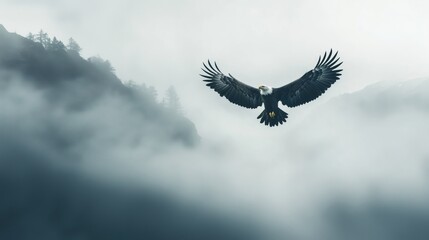 Fototapeta premium Majestic Eagle in Flight Over Foggy Mountain Landscape