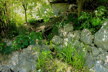 Crimea, world famous botanical garden of Nikita