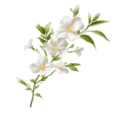 Fototapeta premium Delicate white flowers adorned with fresh green leaves, symbolizing purity and beauty in nature.