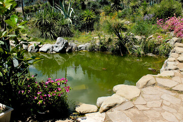 Crimea, world famous botanical garden of Nikita