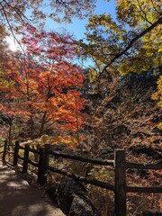 Shosenkyo Gorge, Nice gorge famous for autumn colors