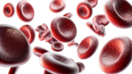 Realistic 3D Rendering of Red Blood Cells in Motion.., PNG, transparent background