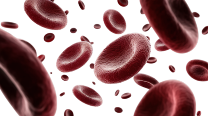 Realistic 3D Rendering of Red Blood Cells in Motion.., PNG, transparent background