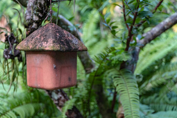 beautiful bird nest hanging on the tree