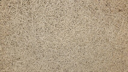 Texture of wood wool panel accoustic used to sound absorbing in room. Wood grain texture background.