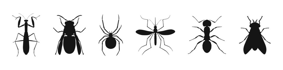 Insect Silhouettes Collection Flat Black Vector Set