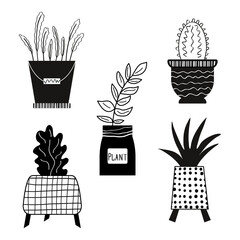 A set of indoor plants, in black and white. It is made in the style of a doodle. A hand-drawn houseplant. Contour vector illustration. Perfect for postcards, decorations and logos.