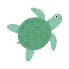 Kawaii green shell turtle character. Happy sea animal. Flat isolated vector illustration
