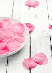 rose petals in and around bowl of water, rustic background