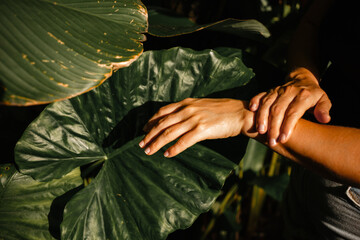 Woman applying skin care oil on hands against green palm leaves in sunlight