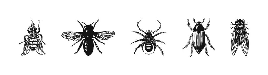 Sketch Insect Vector Illustrations Collection