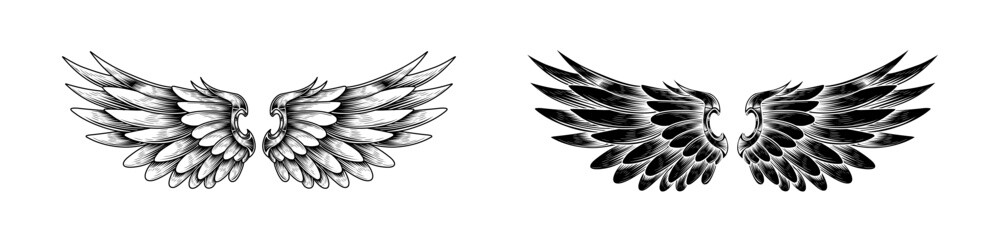 Angel Wing Vector Scetch Designs Collection