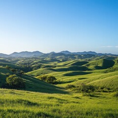 Obraz premium Rolling hills vista at dawn