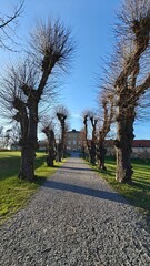 Obraz premium The old charming yellow Ulfsunda Slott castle in Stockholm with historic architecture and interior design