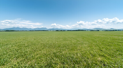 Fototapeta premium Sunny day, green field, mountain background, idyllic landscape, nature photography
