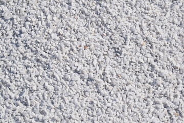 chips stone color, Modern Terrazzo flooring marble stone wall texture abstract background, Colorful terrazzo floor tile on cement surface, architecture interior design pattern, Rustic flooring surface