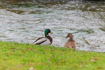 Winchester Chronicles: A Journey Through England’s Historic Heart