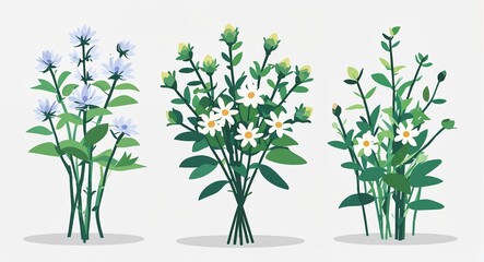 Set bundle of jasmine minimalist childish style illustration on plain white background