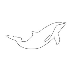 dolphin logo