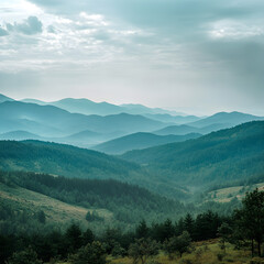 Misty Mountain Landscape Photography