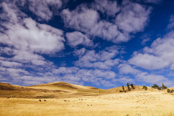Landscape Near Ouse in Tasmania Australia