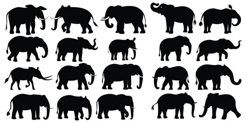 Set of animals elephant silhouettes