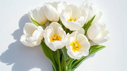 Beautiful arrangement of white tulips with yellow centers placed diagonally on a bright surface