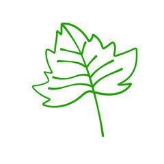 Hand drawn autumn leaves
