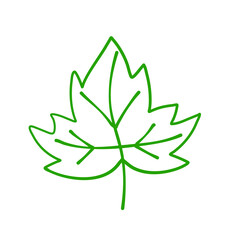 Hand drawn autumn leaves
