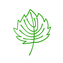 Hand drawn autumn leaves
