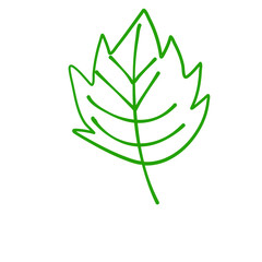 Hand drawn autumn leaves
