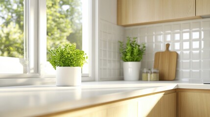 kitchen interior with natural light and plants