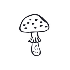 Hand drawn monochrome inky sketch style amanita mushroom. Poisonous fungy black and white doodles