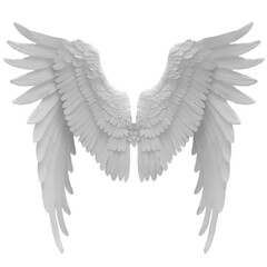 White angel wings on black background heavenly flight freedom spirituality purity grace,