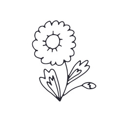 Hand drawn black and white outlined doodle daisy flower. Simple monochrome floral sketch. Abstract botanical element.