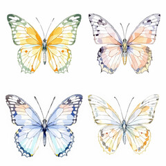 Butterfly collection. Watercolor illustration. Colorful butterflies clipart set. Baby shower design elements. Party invitation, birthday celebration. Spring, summer decor	