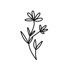 brunch and frames icon
